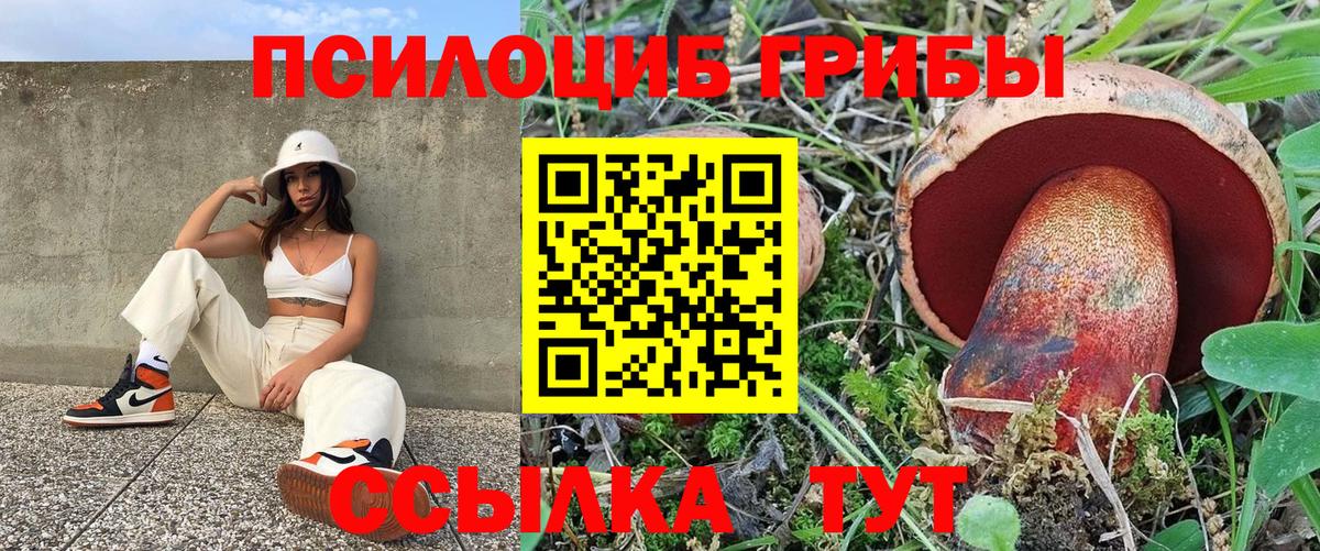 Галлюциногенные грибы Psilocybine cubensis  купить закладку  Вход с VPN  Обнинск  Псилоцибиновые грибы GOLDEN TEACHER 